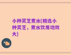 小种灵芝煮水(精选小种灵芝，煮水饮用功效大)