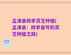 孟津县四季灵芝种植(孟津县：四季皆可的灵芝种植之路)