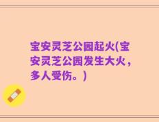 宝安灵芝公园起火(宝安灵芝公园发生大火，多人受伤。)