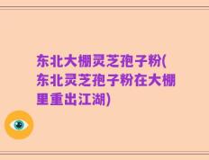 东北大棚灵芝孢子粉(东北灵芝孢子粉在大棚里重出江湖)