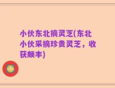 小伙东北摘灵芝(东北小伙采摘珍贵灵芝，收获颇丰)