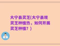 大宁县灵芝(大宁县现灵芝种植热，如何开展灵芝种植？)