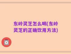 东岭灵芝怎么喝(东岭灵芝的正确饮用方法)