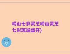 崂山七彩灵芝崂山灵芝七彩斑斓盛开)