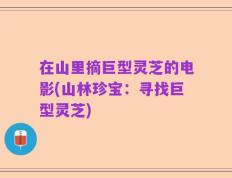 在山里摘巨型灵芝的电影(山林珍宝：寻找巨型灵芝)