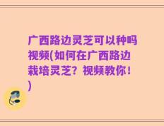 广西路边灵芝可以种吗视频(如何在广西路边栽培灵芝？视频教你！)
