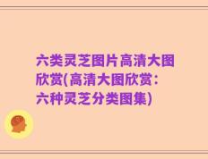 六类灵芝图片高清大图欣赏(高清大图欣赏：六种灵芝分类图集)