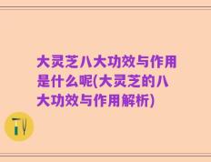 大灵芝八大功效与作用是什么呢(大灵芝的八大功效与作用解析)