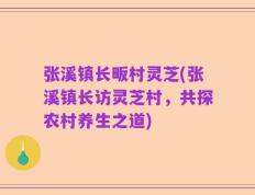 张溪镇长畈村灵芝(张溪镇长访灵芝村，共探农村养生之道)