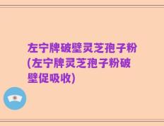 左宁牌破壁灵芝孢子粉(左宁牌灵芝孢子粉破壁促吸收)
