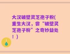 大汉破壁灵芝孢子粉(重生大汉，尝“破壁灵芝孢子粉”之奇妙益处！)