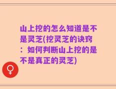 山上挖的怎么知道是不是灵芝(挖灵芝的诀窍：如何判断山上挖的是不是真正的灵芝)