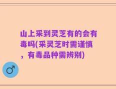 山上采到灵芝有的会有毒吗(采灵芝时需谨慎，有毒品种需辨别)