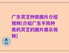 广东灵芝种类图片介绍视频(介绍广东不同种类的灵芝的图片展示视频)