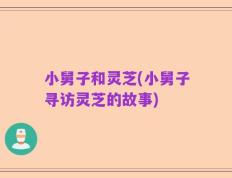 小舅子和灵芝(小舅子寻访灵芝的故事)