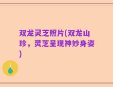 双龙灵芝照片(双龙山珍，灵芝呈现神妙身姿)
