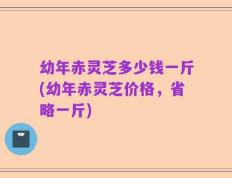 幼年赤灵芝多少钱一斤(幼年赤灵芝价格，省略一斤)