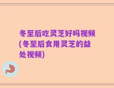 冬至后吃灵芝好吗视频(冬至后食用灵芝的益处视频)