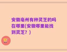 安徽亳州有种灵芝的吗在哪里(安徽哪里能找到灵芝？)