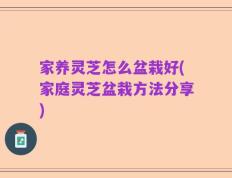 家养灵芝怎么盆栽好(家庭灵芝盆栽方法分享)