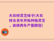 大石桥灵芝妹子(大石桥女青年开始种植灵芝，连续两年产量翻倍)