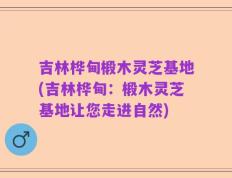 吉林桦甸椴木灵芝基地(吉林桦甸：椴木灵芝基地让您走进自然)