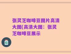 张灵芝咖啡豆图片高清大图(高清大图：张灵芝咖啡豆展示