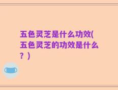 五色灵芝是什么功效(五色灵芝的功效是什么？)