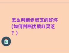 怎么判断赤灵芝的好坏(如何判断优质红灵芝？)