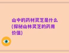 山中的药材灵芝是什么(探秘山林灵芝的药用价值)