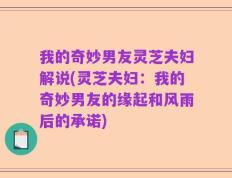 我的奇妙男友灵芝夫妇解说(灵芝夫妇：我的奇妙男友的缘起和风雨后的承诺)