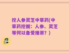挖人参灵芝中草药(中草药挖掘：人参、灵芝等何以备受推崇？)