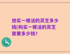 想买一棵活的灵芝多少钱(购买一棵活的灵芝需要多少钱？