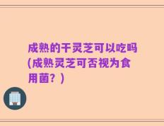 成熟的干灵芝可以吃吗(成熟灵芝可否视为食用菌？)