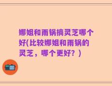 娜姐和雨锅摘灵芝哪个好(比较娜姐和雨锅的灵芝，哪个更好？)