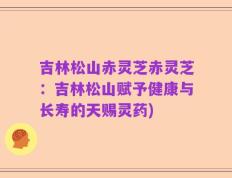 吉林松山赤灵芝赤灵芝：吉林松山赋予健康与长寿的天赐灵药)