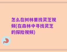 怎么在树林里找灵芝视频(在森林中寻找灵芝的探险视频)