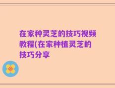 在家种灵芝的技巧视频教程(在家种植灵芝的技巧分享
