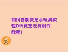 如何自制灵芝小玩具教程DIY灵芝玩具制作教程)