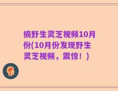 摘野生灵芝视频10月份(10月份发现野生灵芝视频，震惊！)