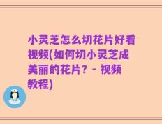 小灵芝怎么切花片好看视频(如何切小灵芝成美丽的花片？- 视频教程)