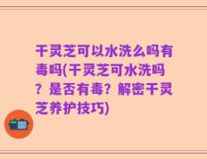 干灵芝可以水洗么吗有毒吗(干灵芝可水洗吗？是否有毒？解密干灵芝养护技巧)