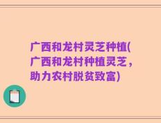 广西和龙村灵芝种植(广西和龙村种植灵芝，助力农村脱贫致富)