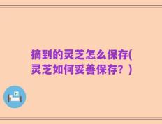 摘到的灵芝怎么保存(灵芝如何妥善保存？)