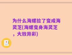 为什么海螺捡了变成海灵芝(海螺变身海灵芝，大放异彩)