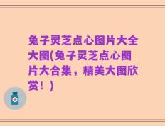 兔子灵芝点心图片大全大图(兔子灵芝点心图片大合集，精美大图欣赏！)