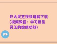 巨大灵芝视频讲解下载(视频教程：学习巨型灵芝的健康功效)