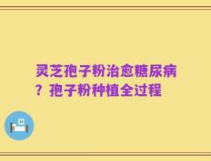 灵芝孢子粉治愈糖尿病？孢子粉种植全过程