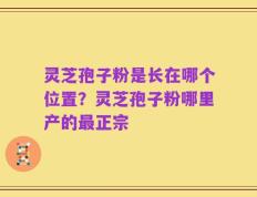 灵芝孢子粉是长在哪个位置？灵芝孢子粉哪里产的最正宗