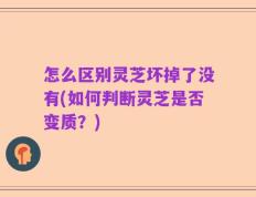 怎么区别灵芝坏掉了没有(如何判断灵芝是否变质？)